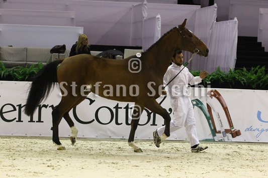 NADA BRAUN_MILANO_2010_SS3_3996.jpg